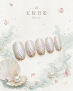 The Shell’s First Light｜貝殼初光 Inspired by Botticelli