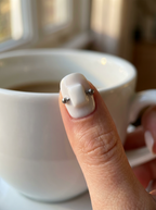 白之序曲 White Prelude